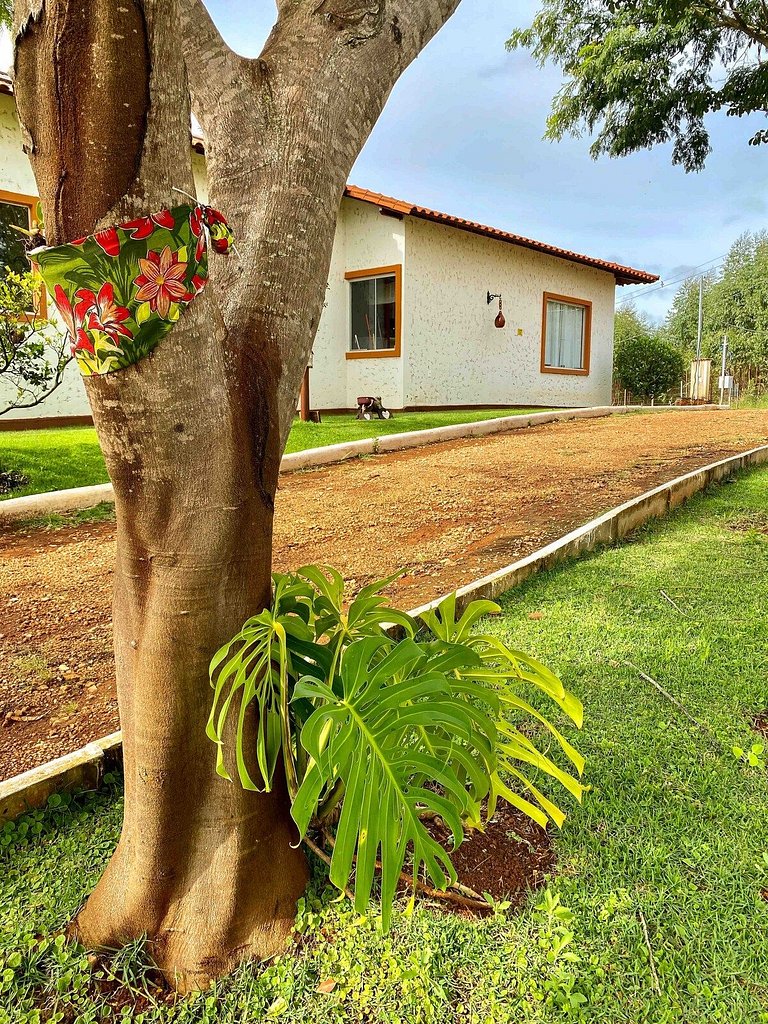 Vista de Cinema, 3 Suítes, Wifi, Cozinha Gourmet